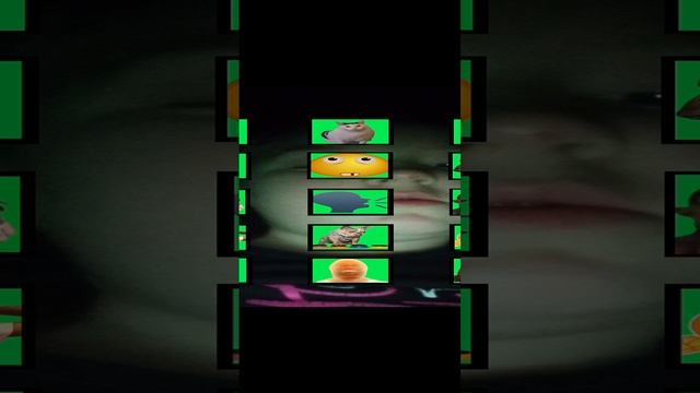 1000010664.mp4