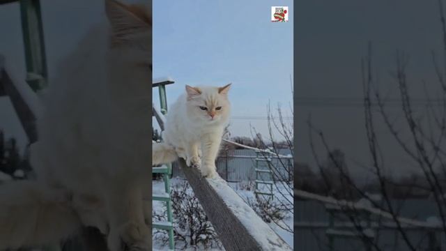 Художник и Строитель оставил в Небе След 😇🌈❤️🙏😻