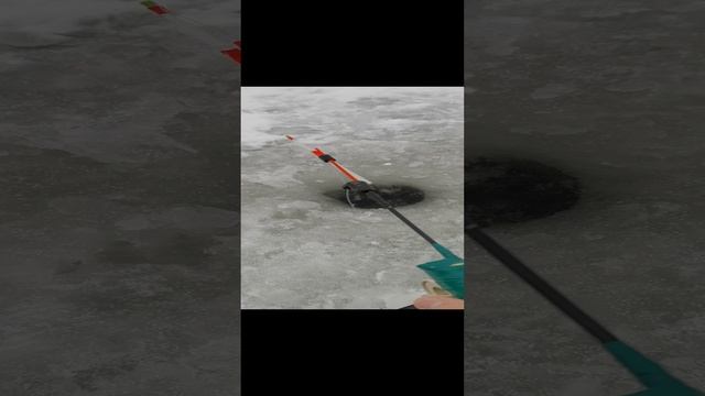 lv_0_20241215183400.mp4