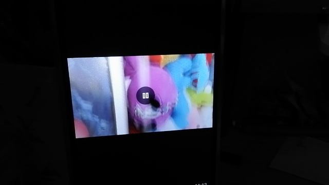 VID_20241215_131950.mp4