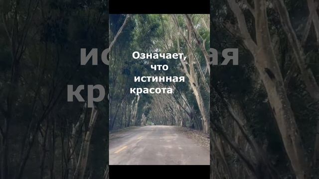 Дорога в горы Цзинмай