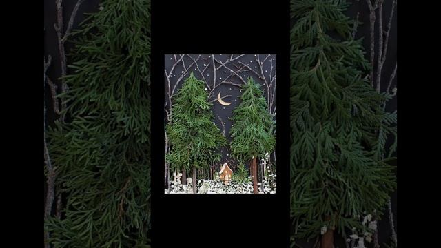 scene_output.mp4
