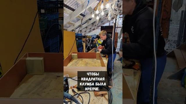 Как сделать клумбу из ламината ?) #shorts