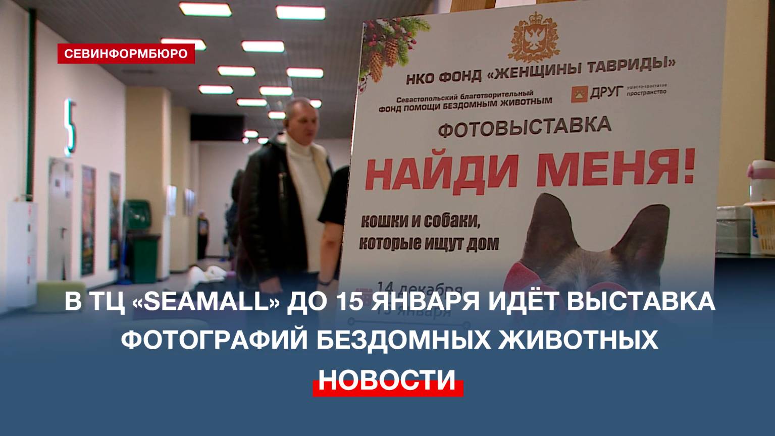 В ТЦ «SeaMall» открылась выставка о животных, которым ищут новых хозяев