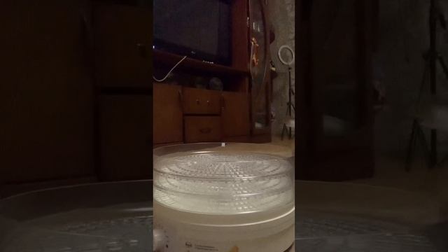 Меня уже с Новым годом поздравили. Подарили очень нужную вещь