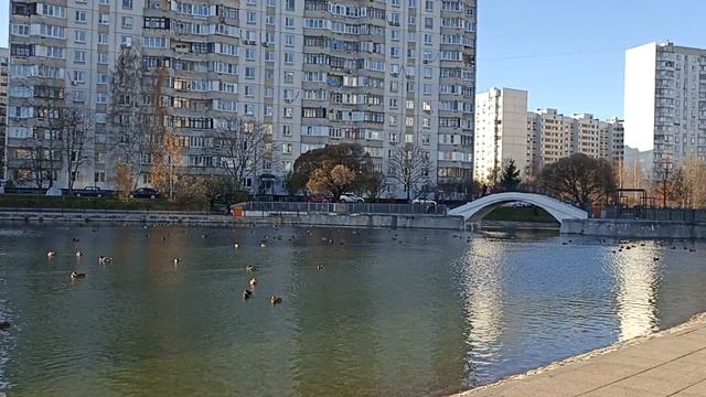 Мысли с утра как жрицы любви на Ленинградском шоссе, ждут чтобы я их подумал.