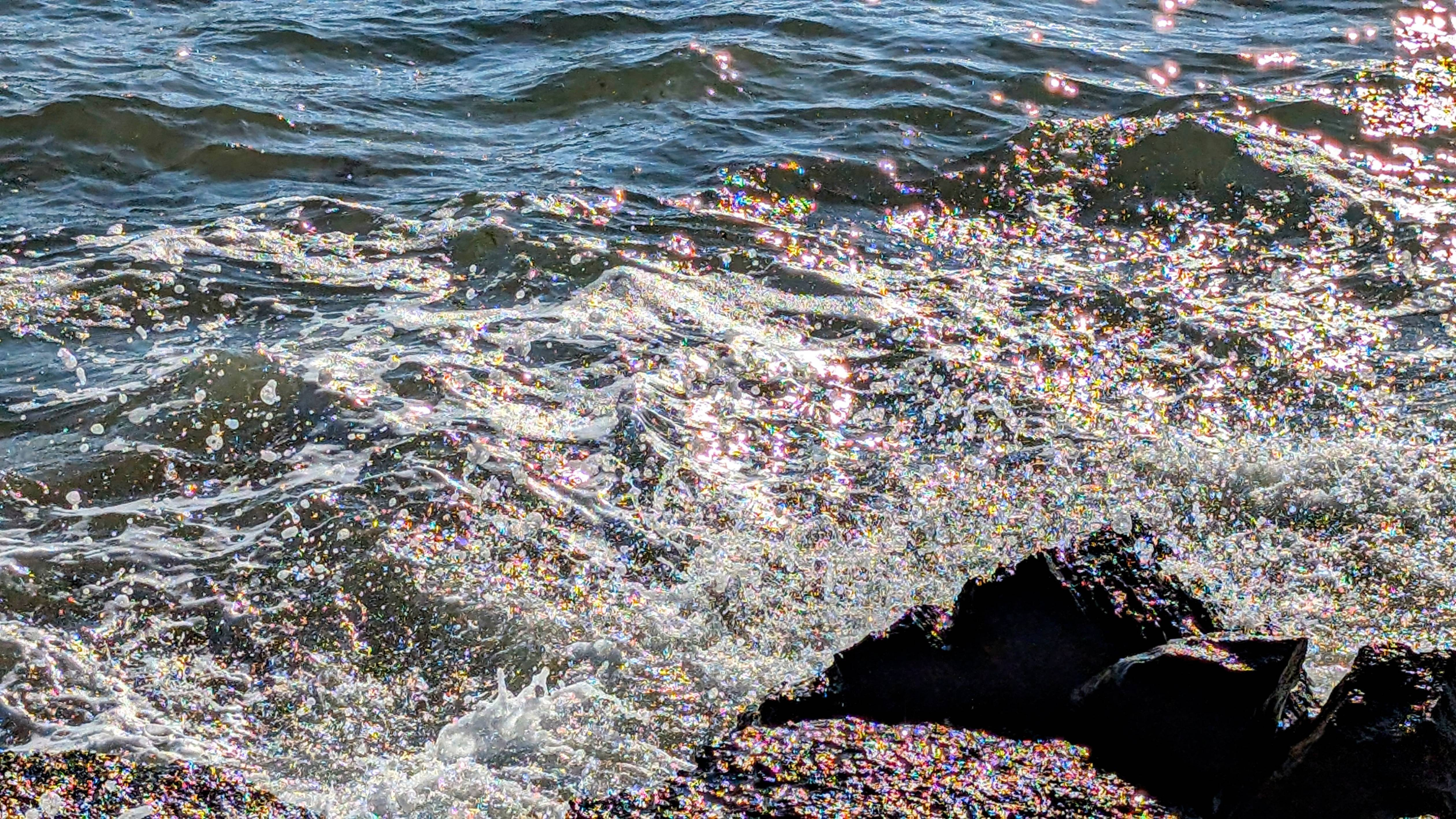 Лебеди в море
Swans on Sea