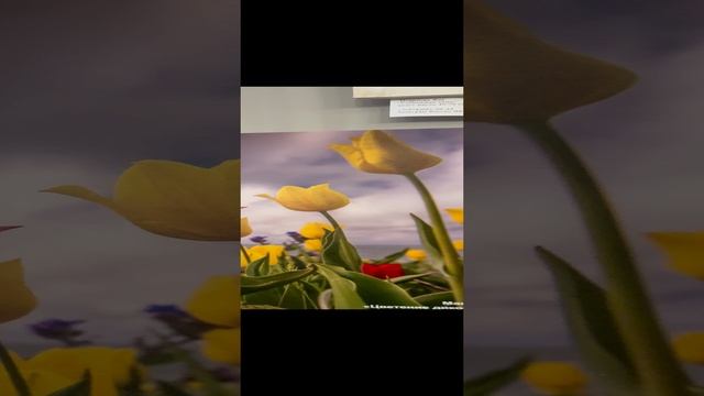 Выставка фотографий.