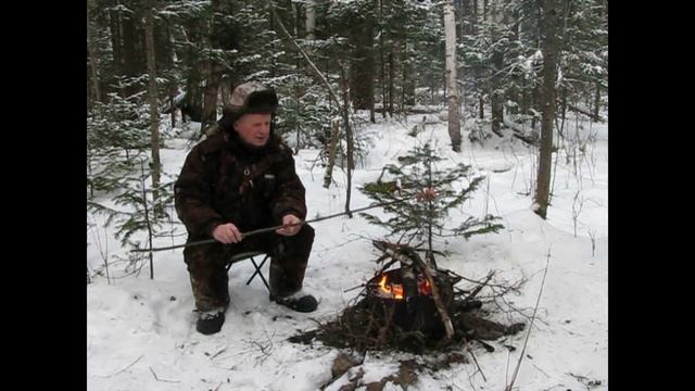 Зимний лес в декабре