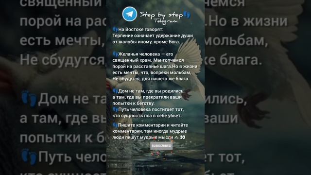 Присоединяйся к нашему сообществу Step by step👣 в Телеграмм - ссылка
в шапке профиля.. 😉