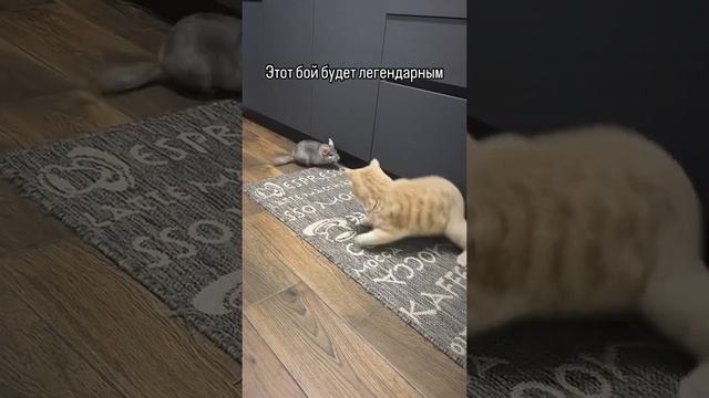 1000068472.mp4