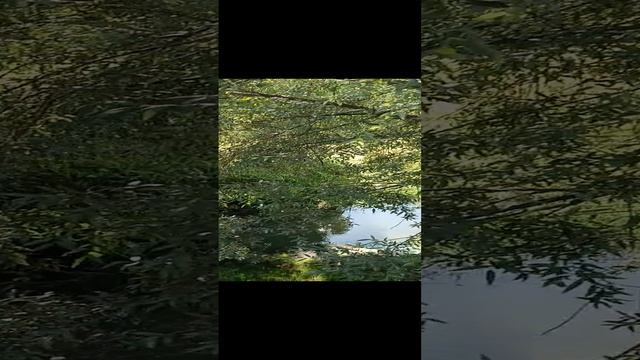 На Гремячем ключе.