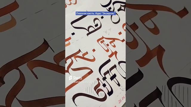Экзерсис, фрагменты курса