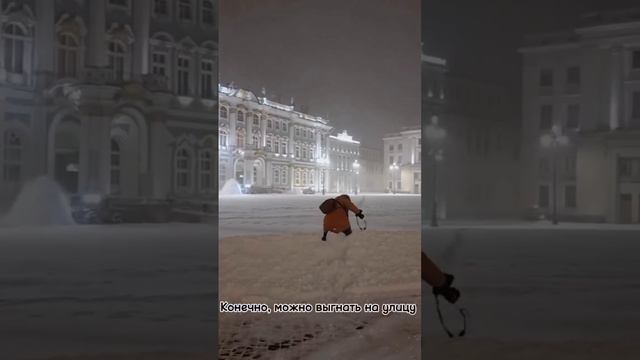 Каждый год в Санкт-Петербурге