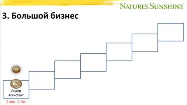 Маркетинг план NSP