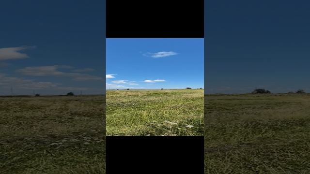 VID_20240913_120401.mp4