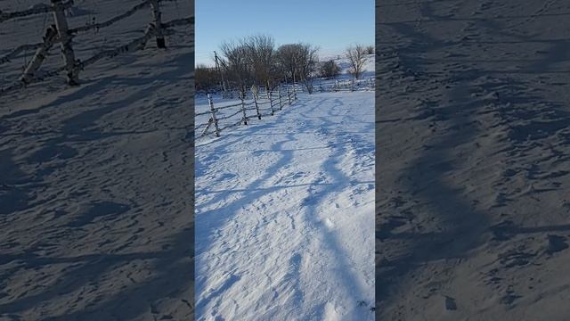 Водопой для животных на ферме