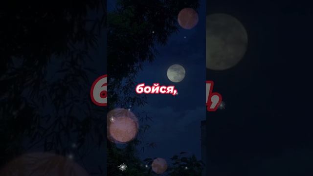 Не бойся
