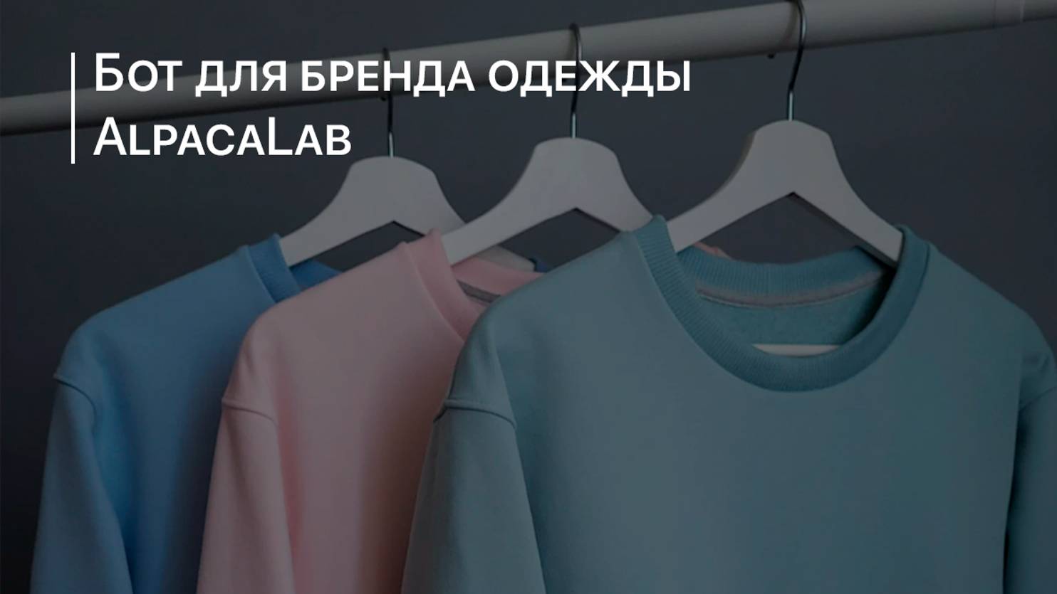 Кейс: Telegram бот для бренда одежды AlpacaLab