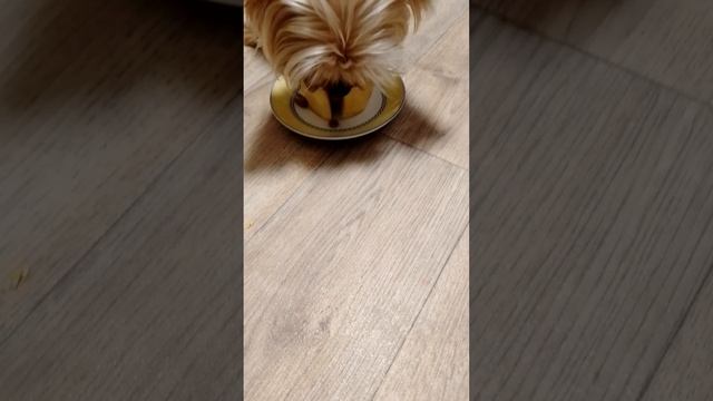 1000002376.mp4