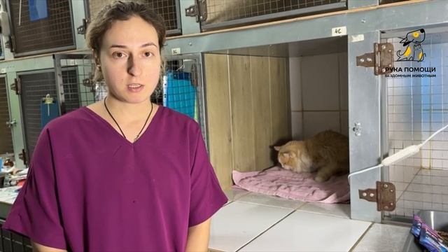 Экстренно к нам поступил Алладин. Поддержать⬇️