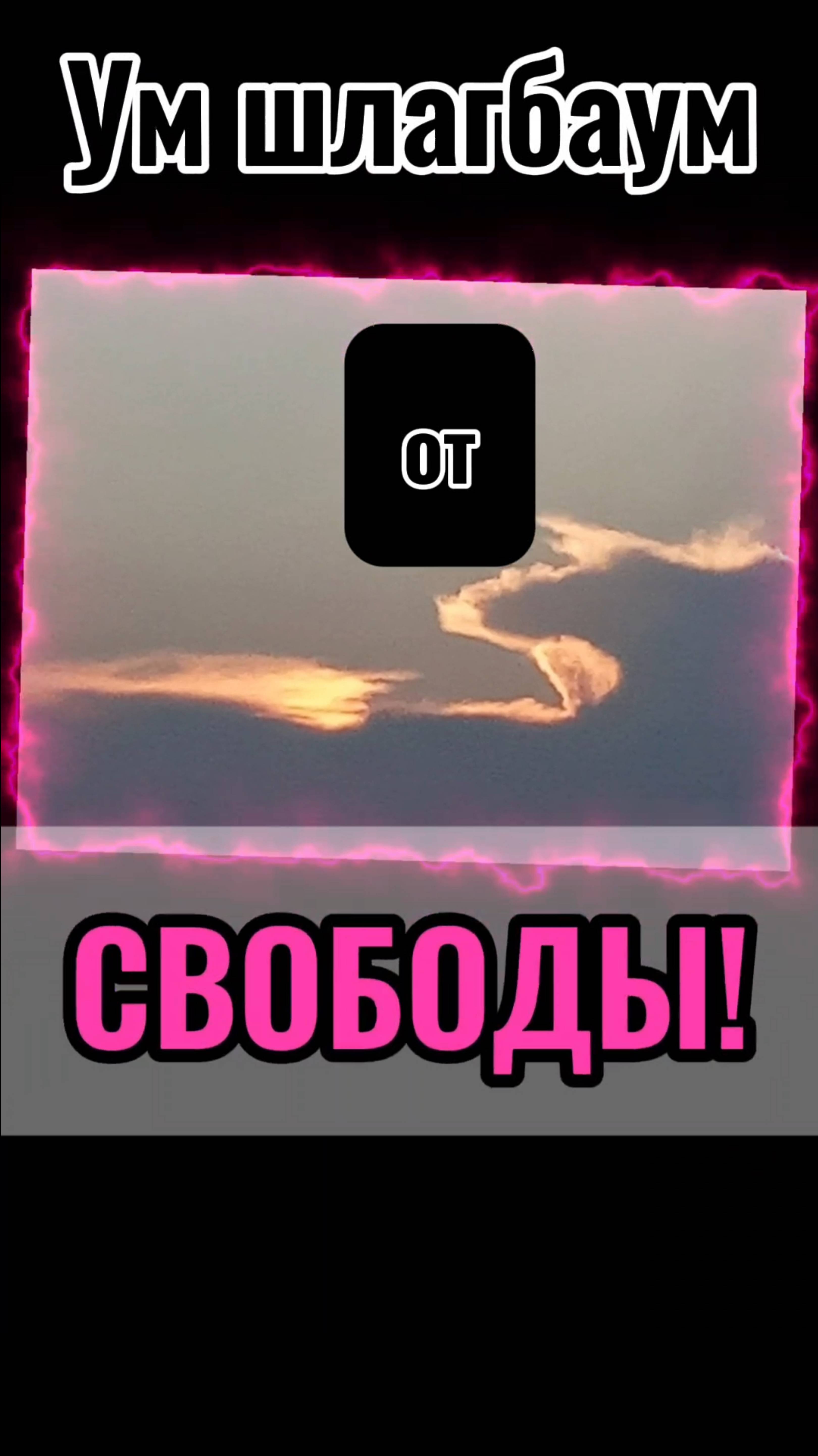 Ум шлагбаум от СВОБОДЫ!