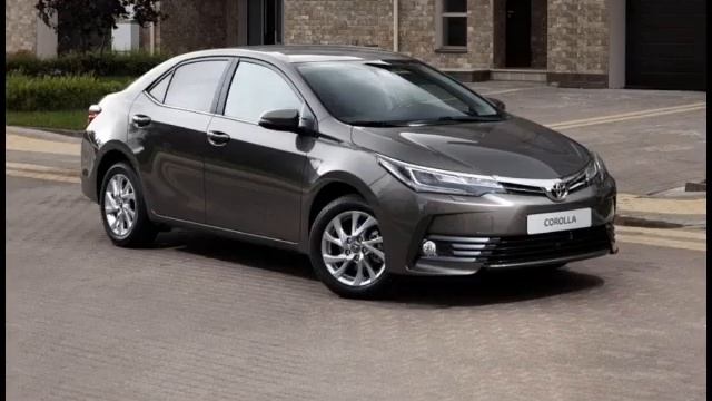 роман крыса