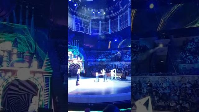 Шоу "WOW" в цирке на Фонтанке декабрь 2024 - 5