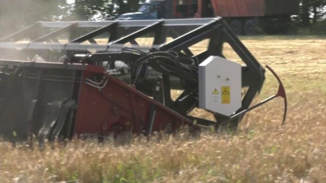 Сохранит ли Воронежская область 3-е место в стране по объёмам сельхозпроизводства?