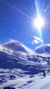 ⭐ ПРОГНОЗ НА НЕДЕЛЮ С 16.12.2024 ПО 22.12.2024 ⭐ Контакты floransia@yandex.ru