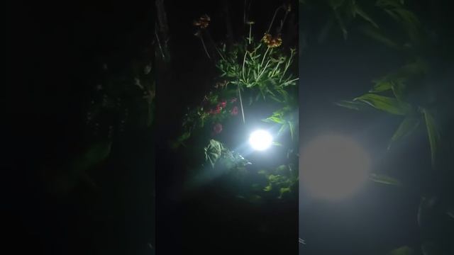 Отзыв №1 ⭐⭐⭐⭐⭐ - Grenome Фонарь садовый на солнечных батареях