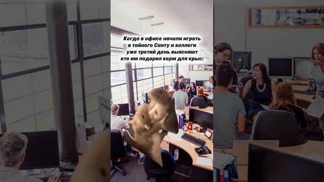 #юмор #развлечения #еда #животные #музыка #красота #мода #культура #образование #новости #спорт #лай