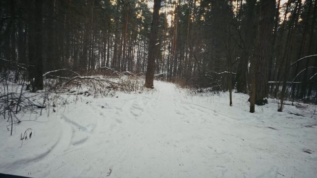 Фэтбайк зимой. Томск. Лыжные тропы на Степановке