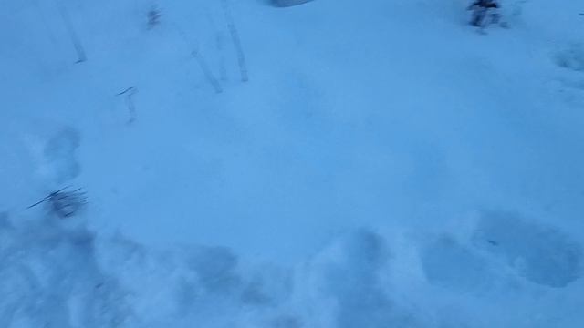 Залить воду в дом из скважины силиконовым шлангом зимой