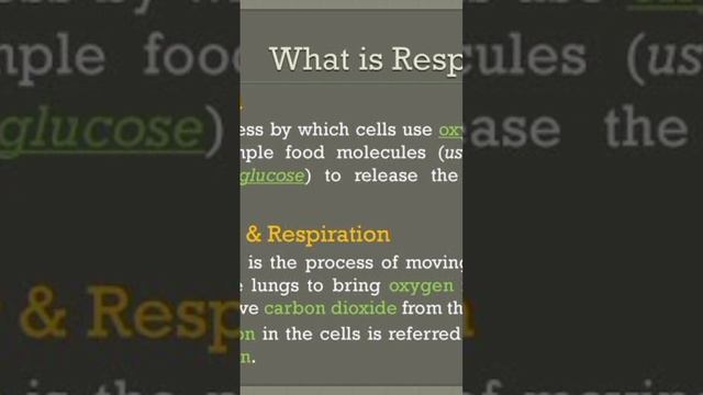 #respiration