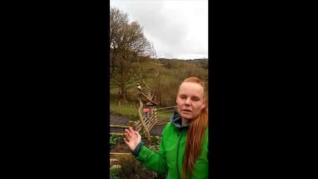 What to Record in your Garden - Wales Nature Week