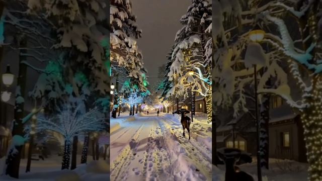 видео