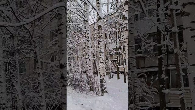 В Питер пришла зима