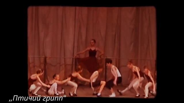 ШКОЛА СТУДИЯ 2004-ХОРЕОГРАФИЧЕСКАЯ МИНИАТЮРА ,,ПТИЧИЙ ГРИПП’'