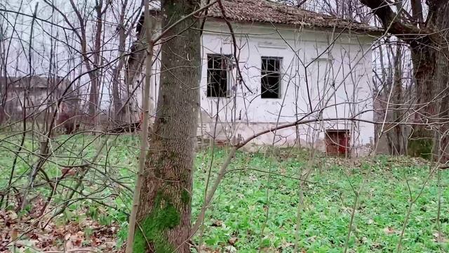 Усадьба Орловых-Давыдовых в Симбилее