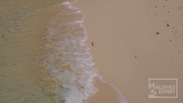 Обзор INTERCONTINENTAL Maldives l Уникальный курорт, гастрономическое путешествие, бирюзовая лагуна