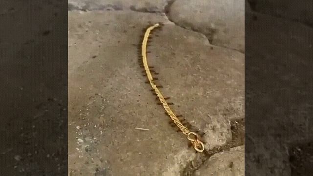 1000025312.mp4