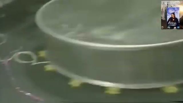 О музыке молекул разговор с Александром Кушелевым  - Глобальная волна