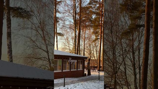 🌟Сказочная атмосфера Нового Года в загородном клубе «Жемчужина»!🌟