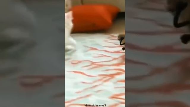 Духом сильнее 😅