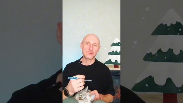 хороший совет который вас спасёт