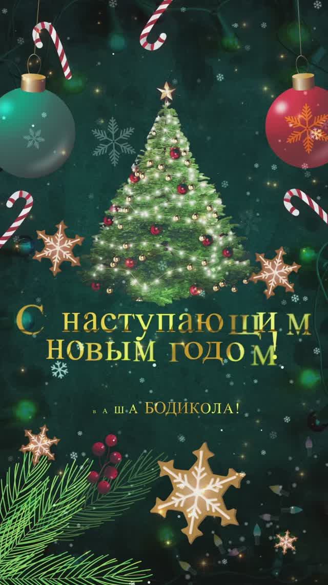 Поздравление с Новым годом от коллектива стоматологии Боди Кола