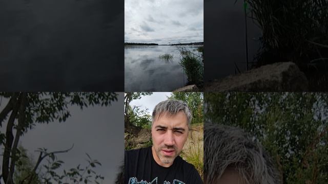 Волхов, все занято