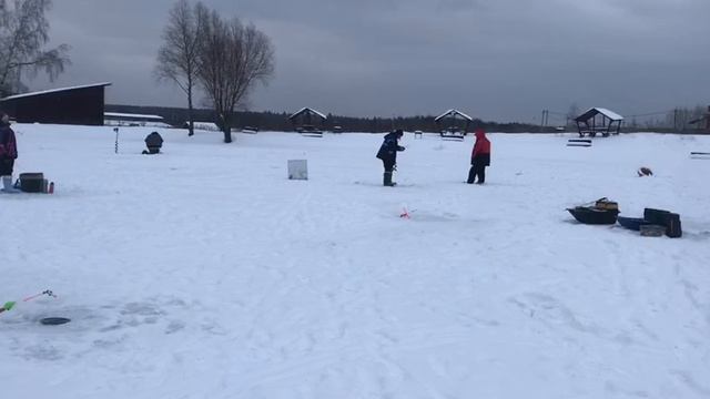 Поимка форели