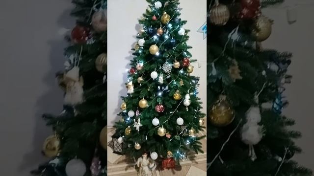 Наша ёлочка !
